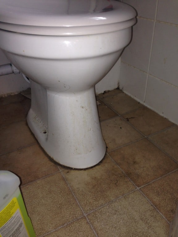 toilet before cleaning